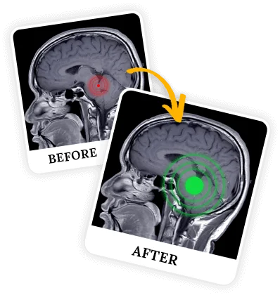 The Wealth Signal Effects